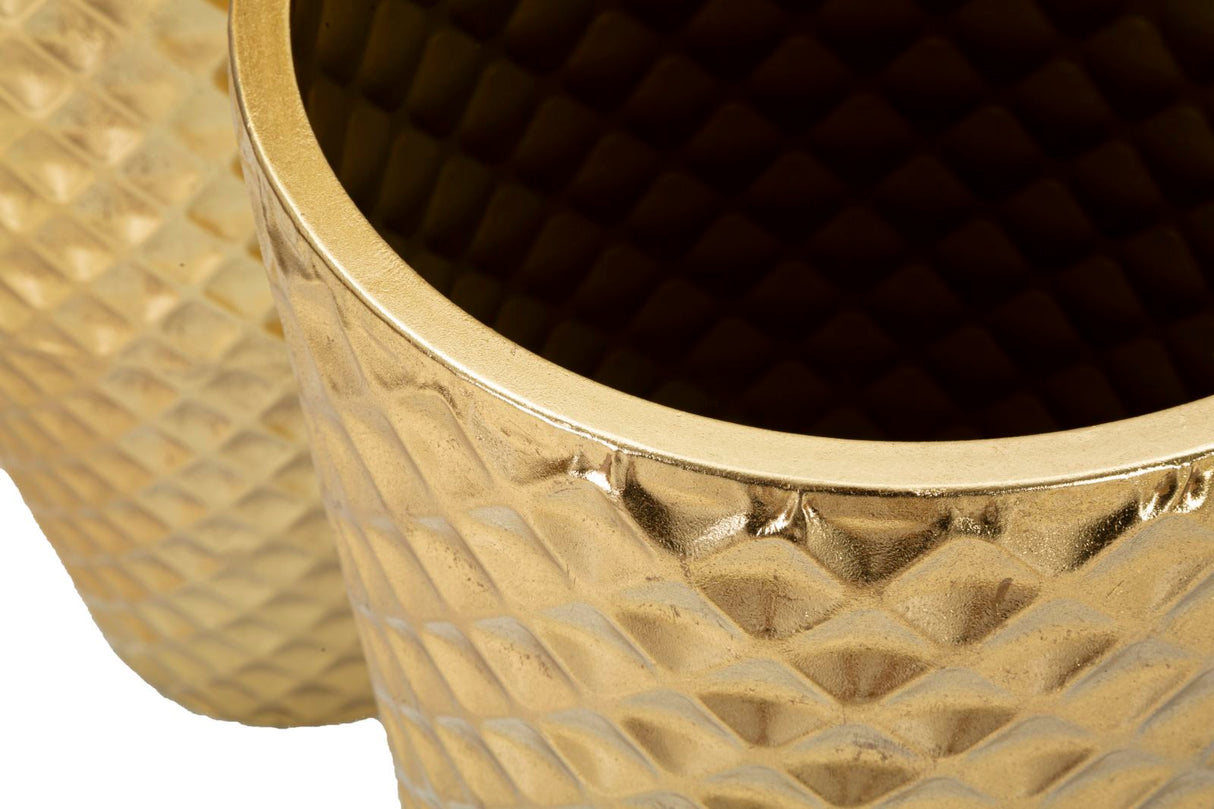 P/VASI GLOTTY TRIS - FERRETTI