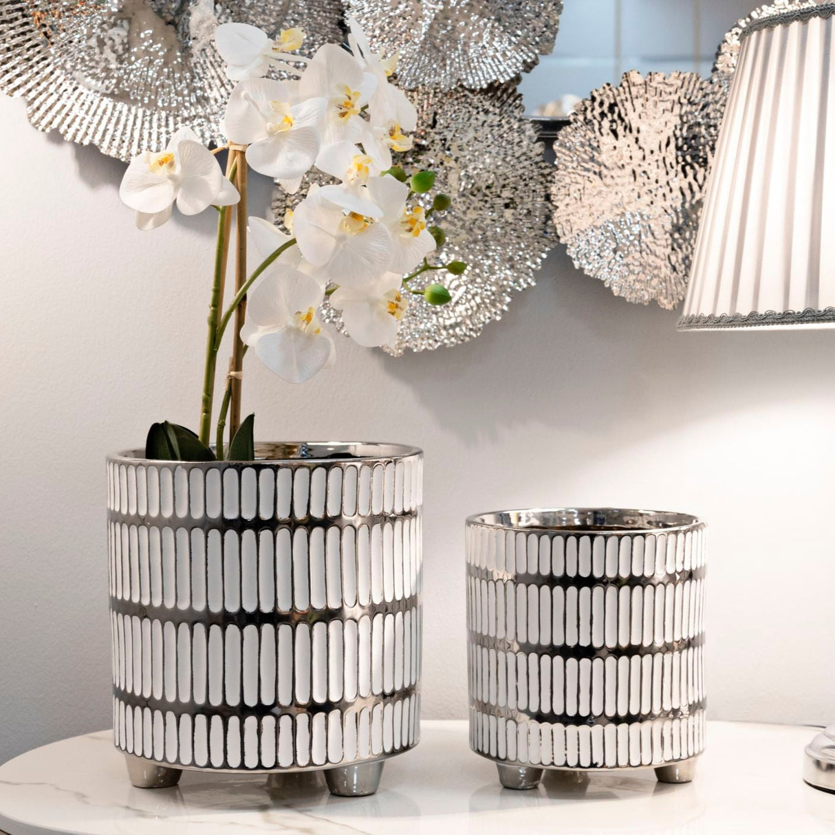 P/VASI COPPIA RAY - FERRETTI