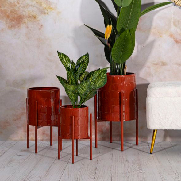 P/VASI ARCHY TRIS - FERRETTI