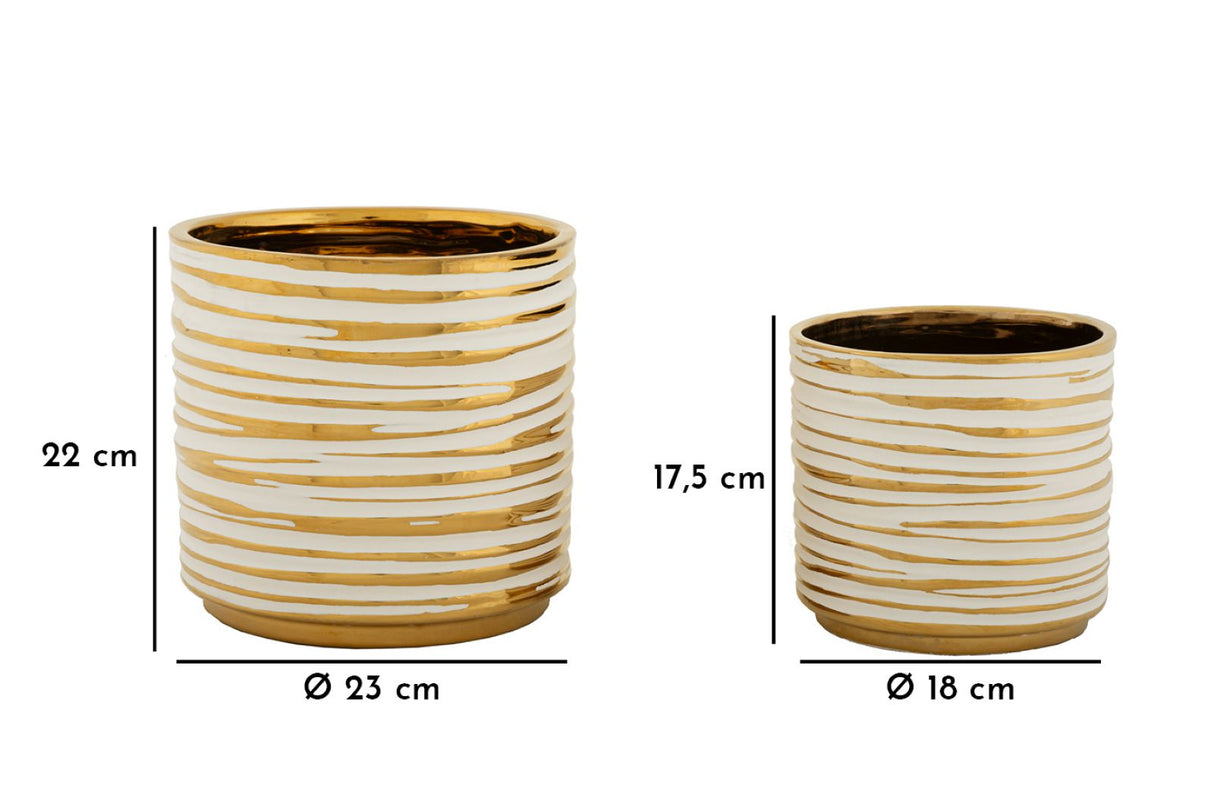 P/VASI COPPIA BLOM - FERRETTI