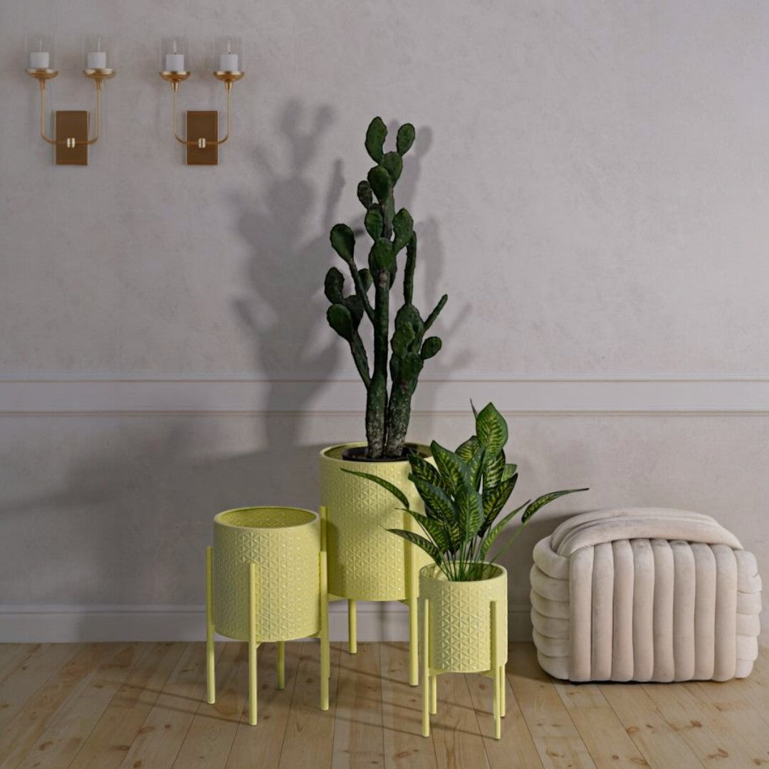 P/VASI IRIS TRIS - FERRETTI