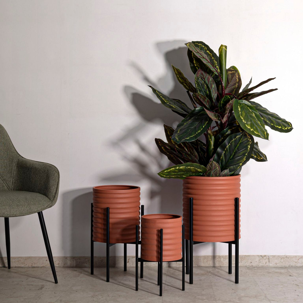 P/VASI MILLY TRIS - FERRETTI