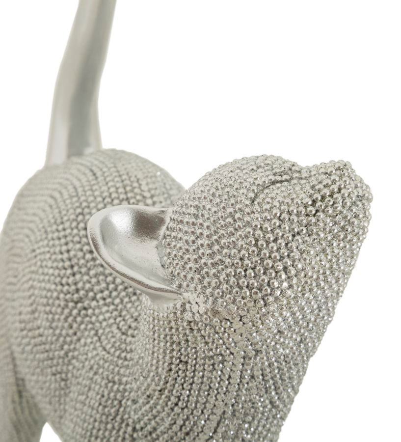 GATTO SPARKY - FERRETTI