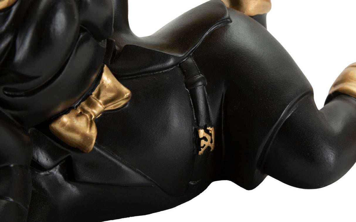 CANE ROVER S/TASCHE - FERRETTI