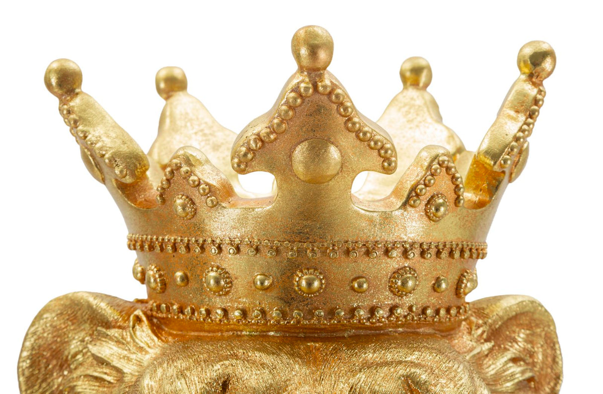 RE LEONE SHANT - FERRETTI