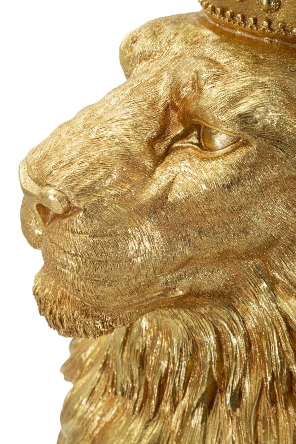 RE LEONE SHANT - FERRETTI