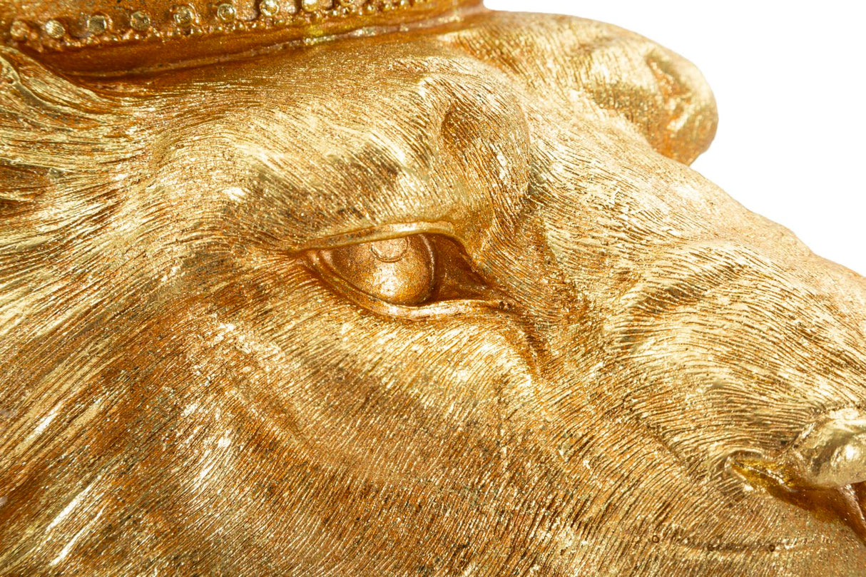 RE LEONE SHANT - FERRETTI