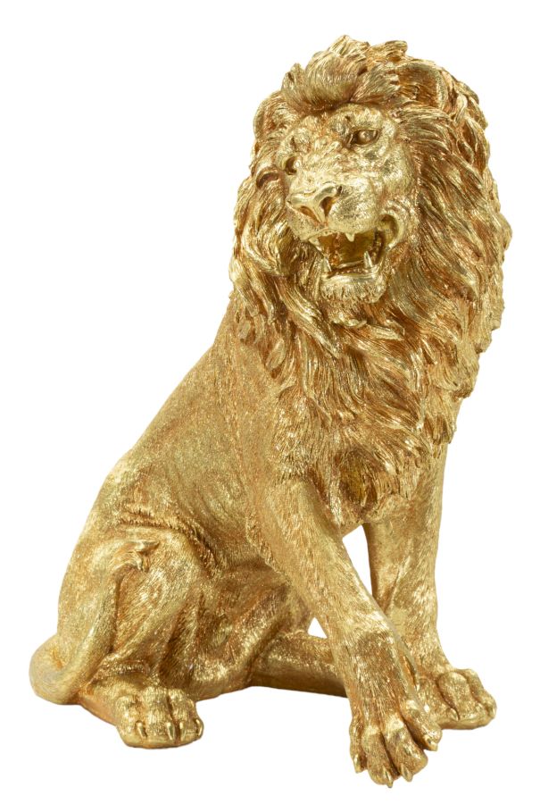 LEONE SHANT - FERRETTI