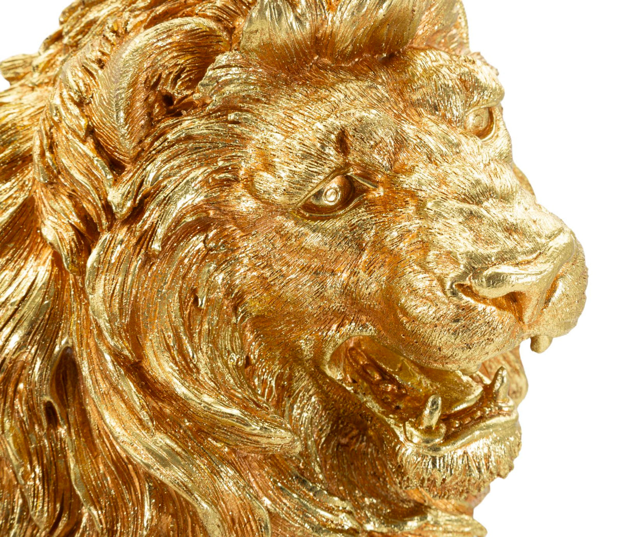 LEONE SHANT - FERRETTI