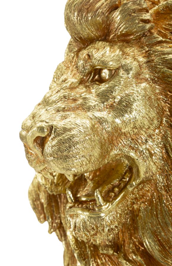 LEONE SHANT - FERRETTI