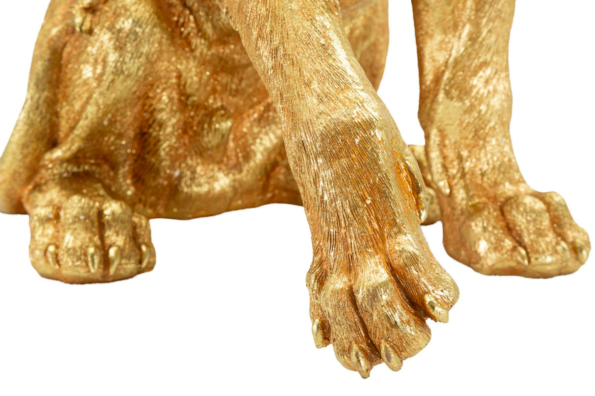 LEONE SHANT - FERRETTI