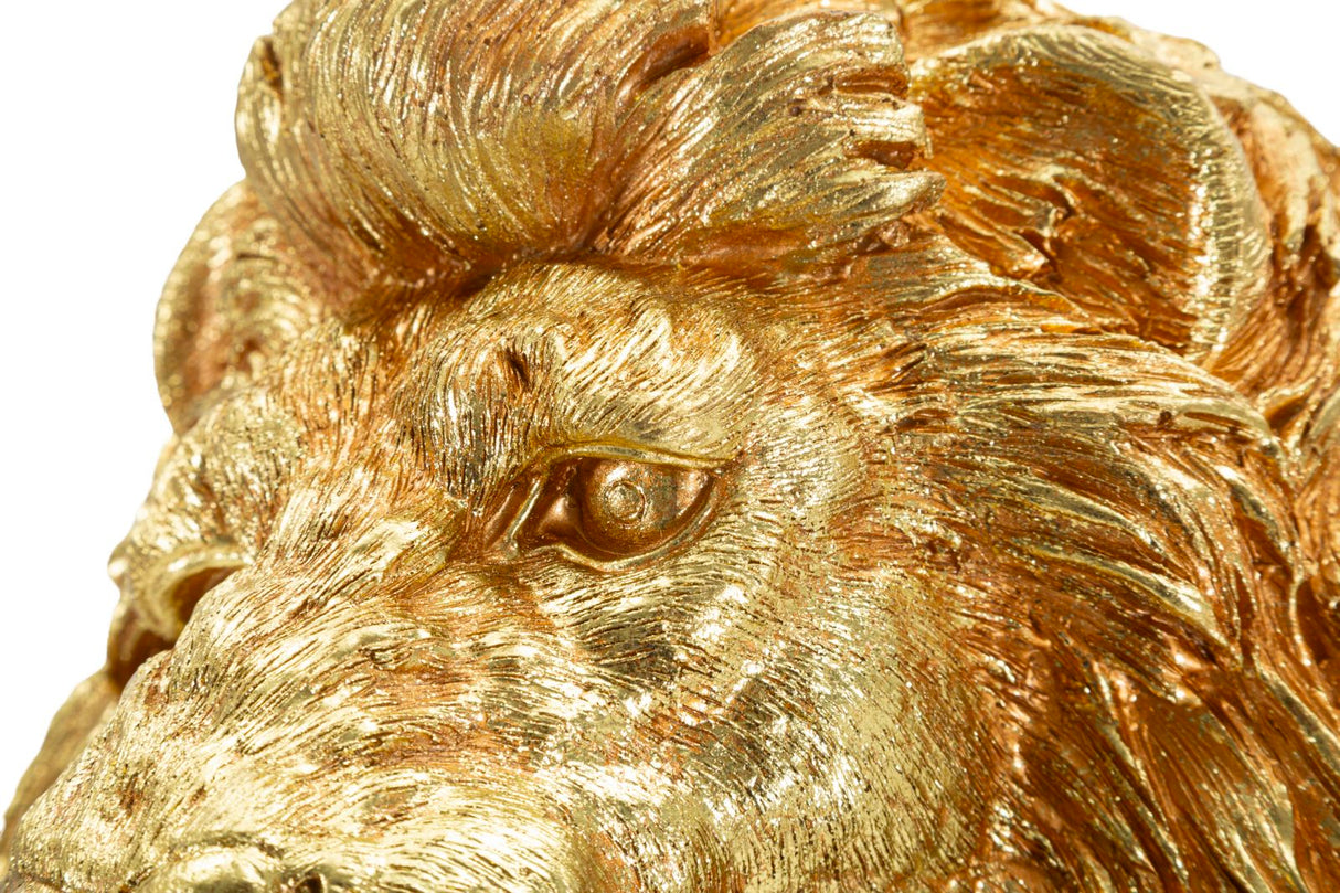 LEONE SHANT - FERRETTI