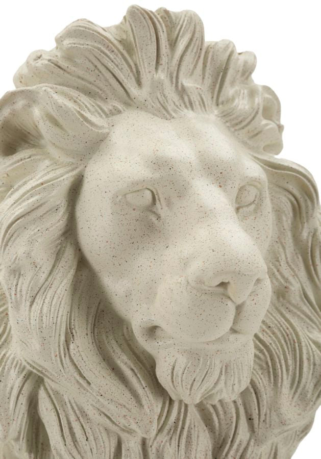 LEONE STONS - FERRETTI