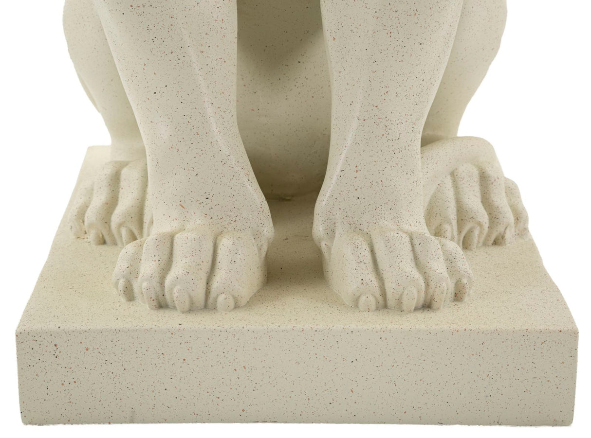 LEONE STONS - FERRETTI