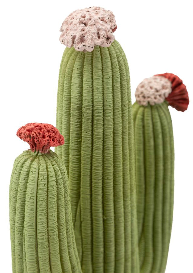 CACTUS CM 16,5X11X45 - FERRETTI