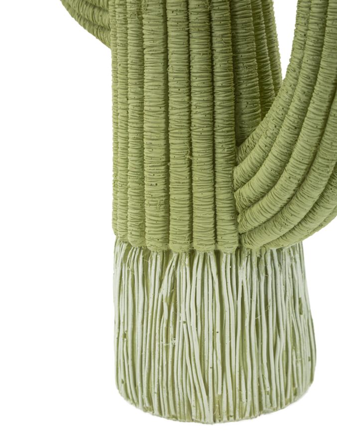 CACTUS CM 13X7X25 - FERRETTI