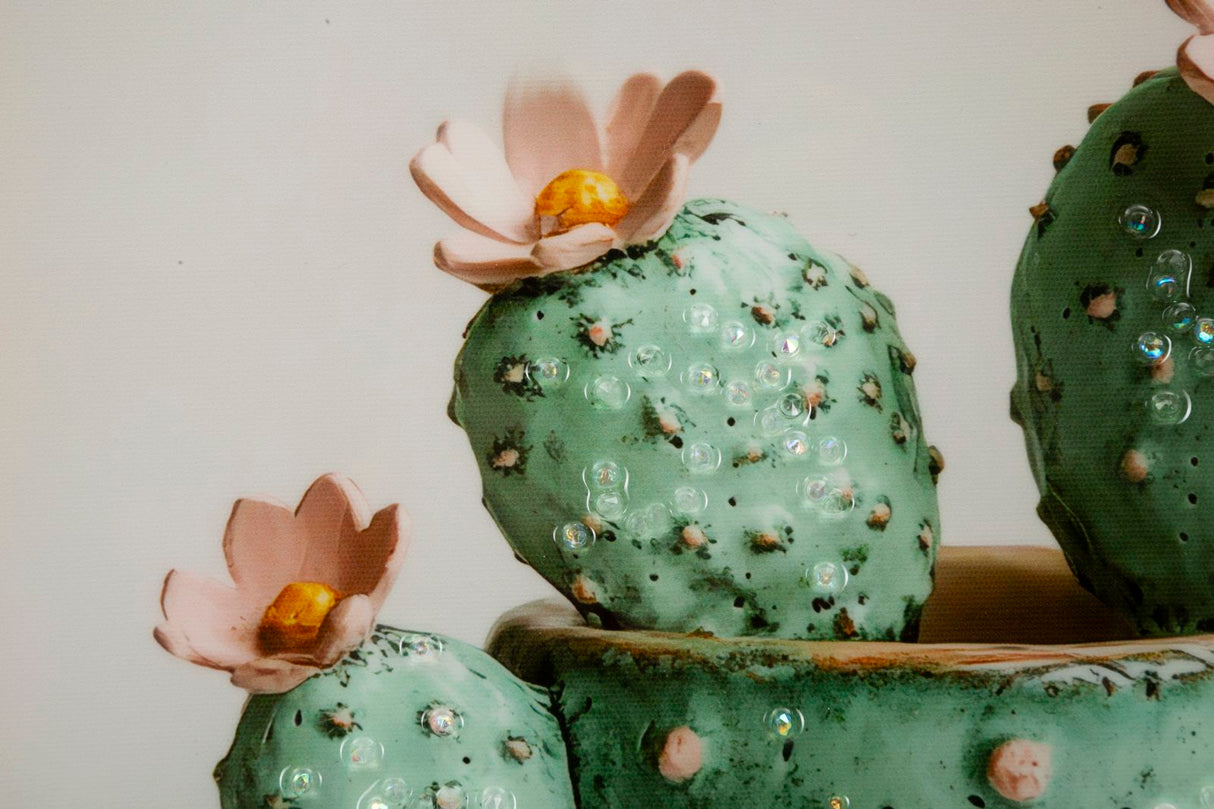 STAMPA SU TELA LACCATA C/CORNICE VASETTO CACTUS -C- FERRETTI