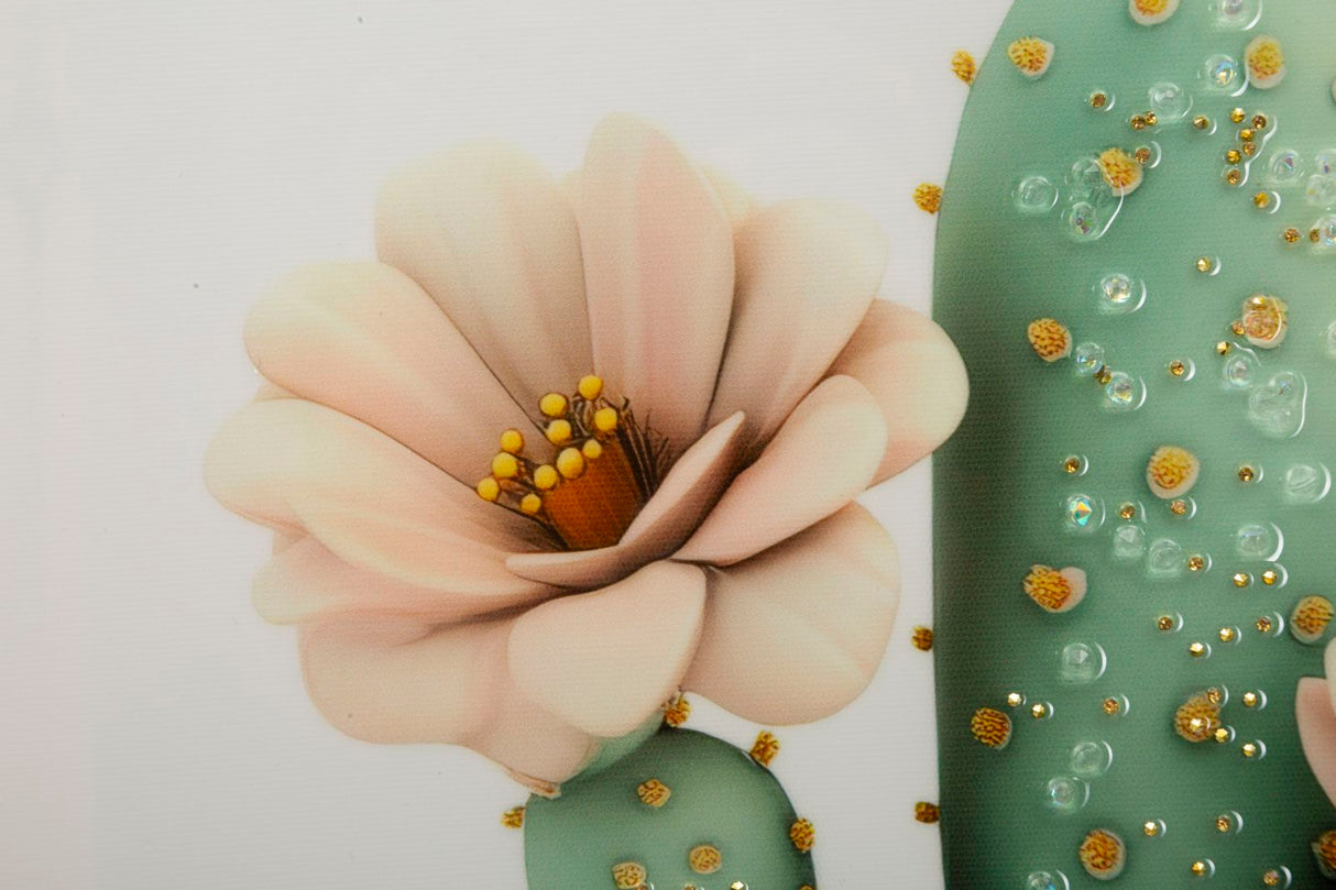 STAMPA SU TELA LACCATA C/CORNICE VASETTO CACTUS -D- FERRETTI