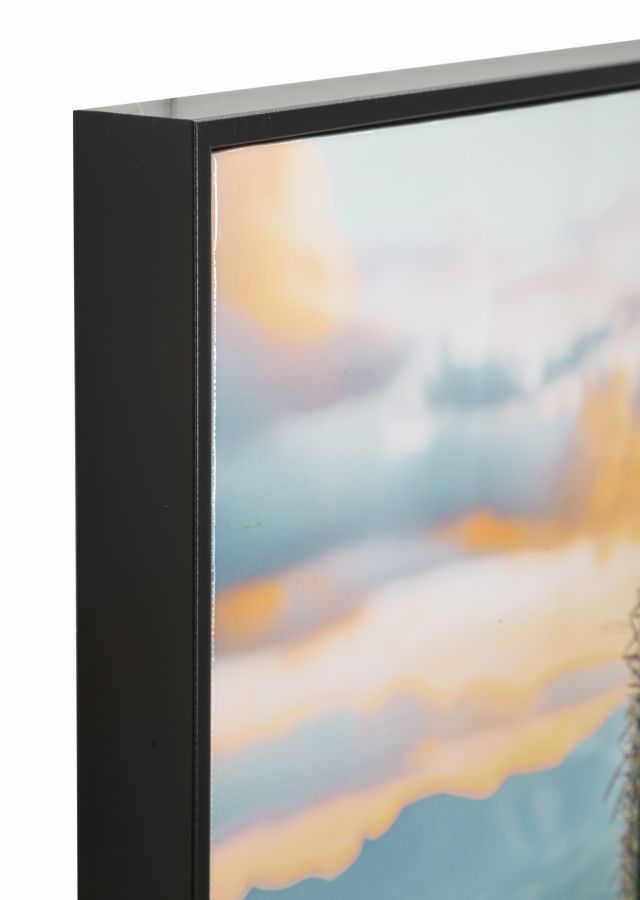 STAMPA SU TELA LACCATA C/CORNICE CACTUS -A- FERRETTI