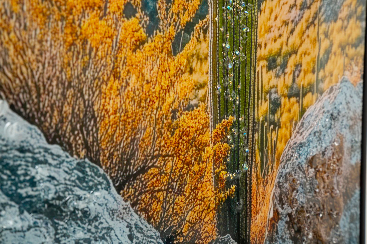 STAMPA SU TELA LACCATA C/CORNICE CACTUS -B- FERRETTI