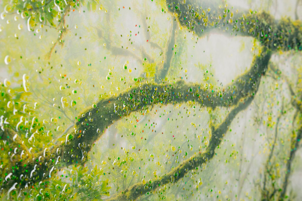 STAMPA SU TELA LACCATA C/CORNICE FORESTA - FERRETTI