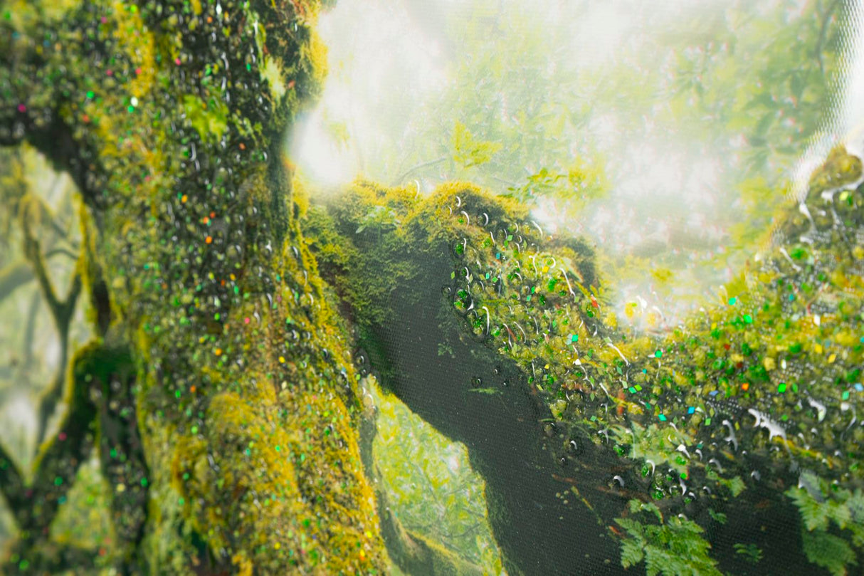 STAMPA SU TELA LACCATA C/CORNICE FORESTA - FERRETTI