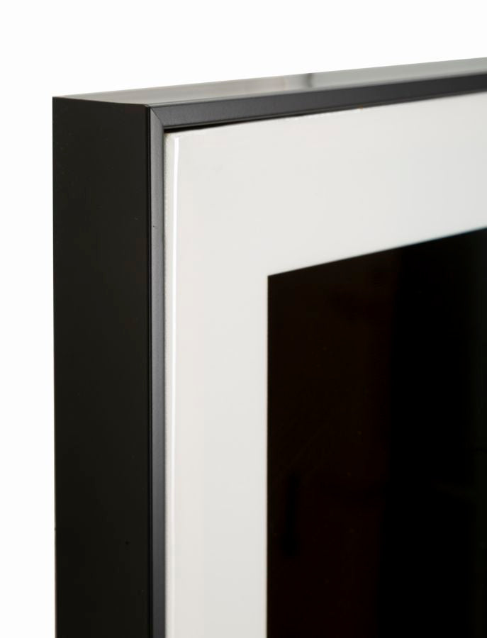 DIPINTO SU TELA LACCATO GIAGUARO C/CORNICE -B- FERRETTI