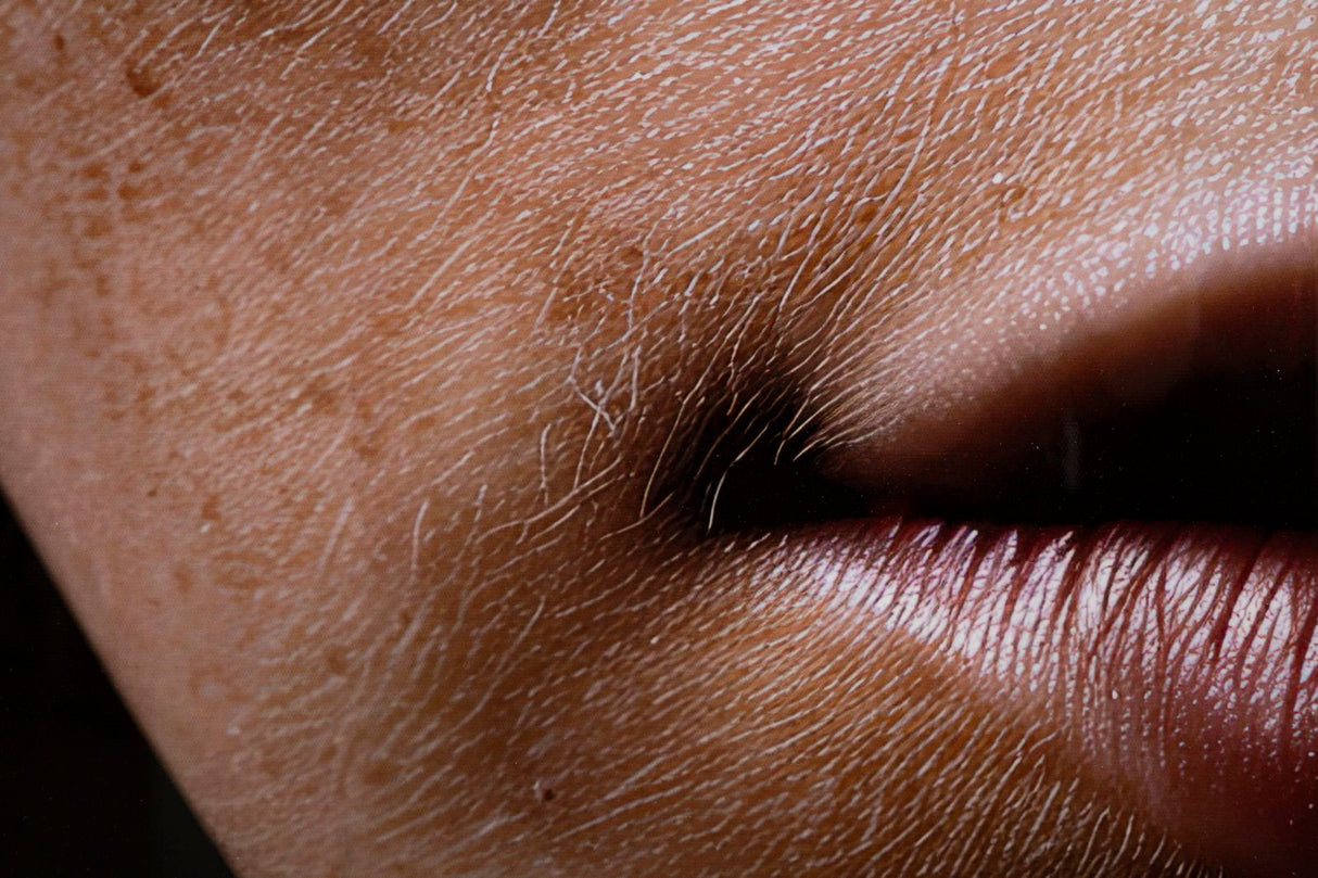 DIPINTO SU TELA LACCATO NAIROBI C/CORNICE -A- FERRETTI