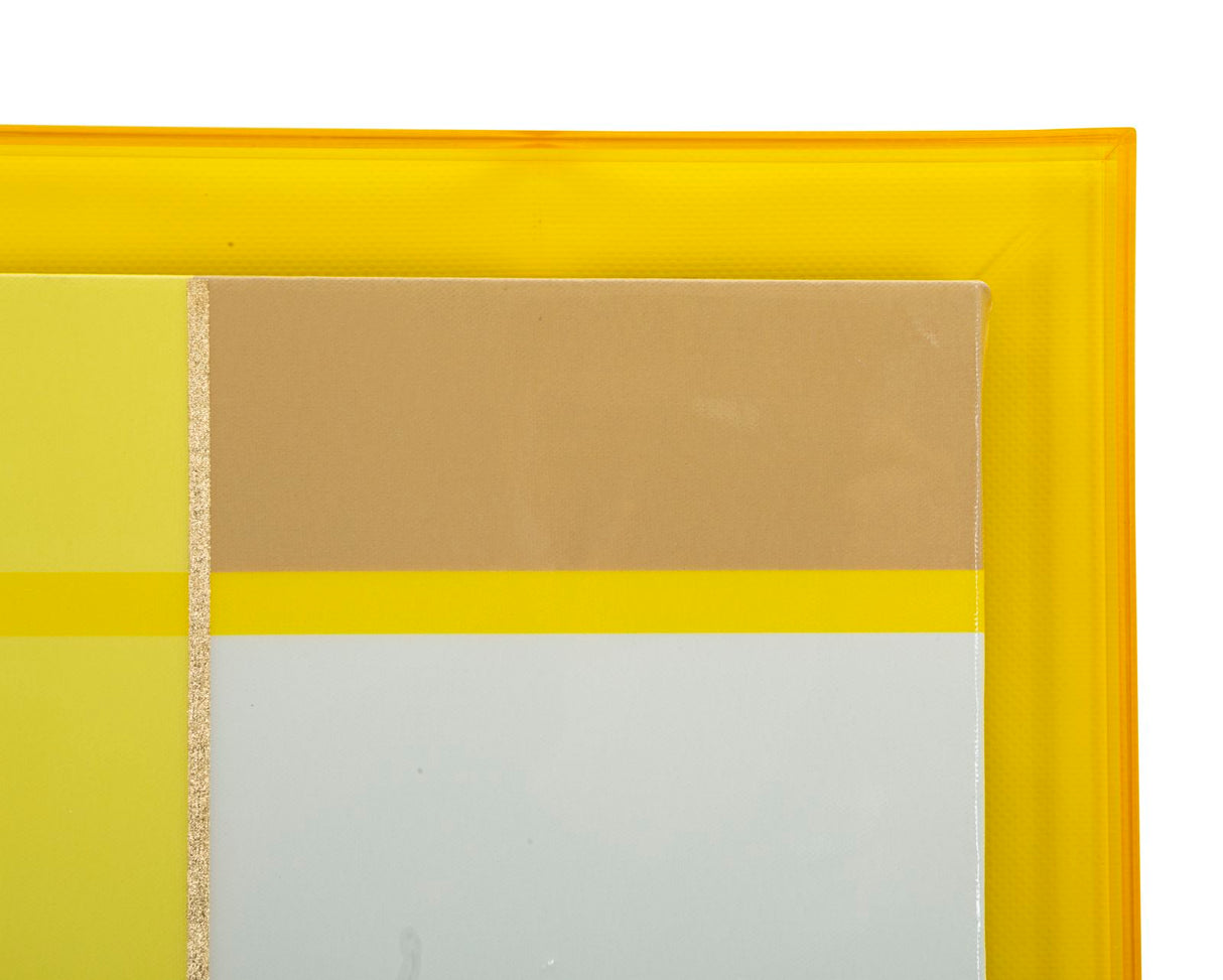 STAMPA SU TELA LACCATTO ACRYLIC C/CORNICE -A- FERRETTI