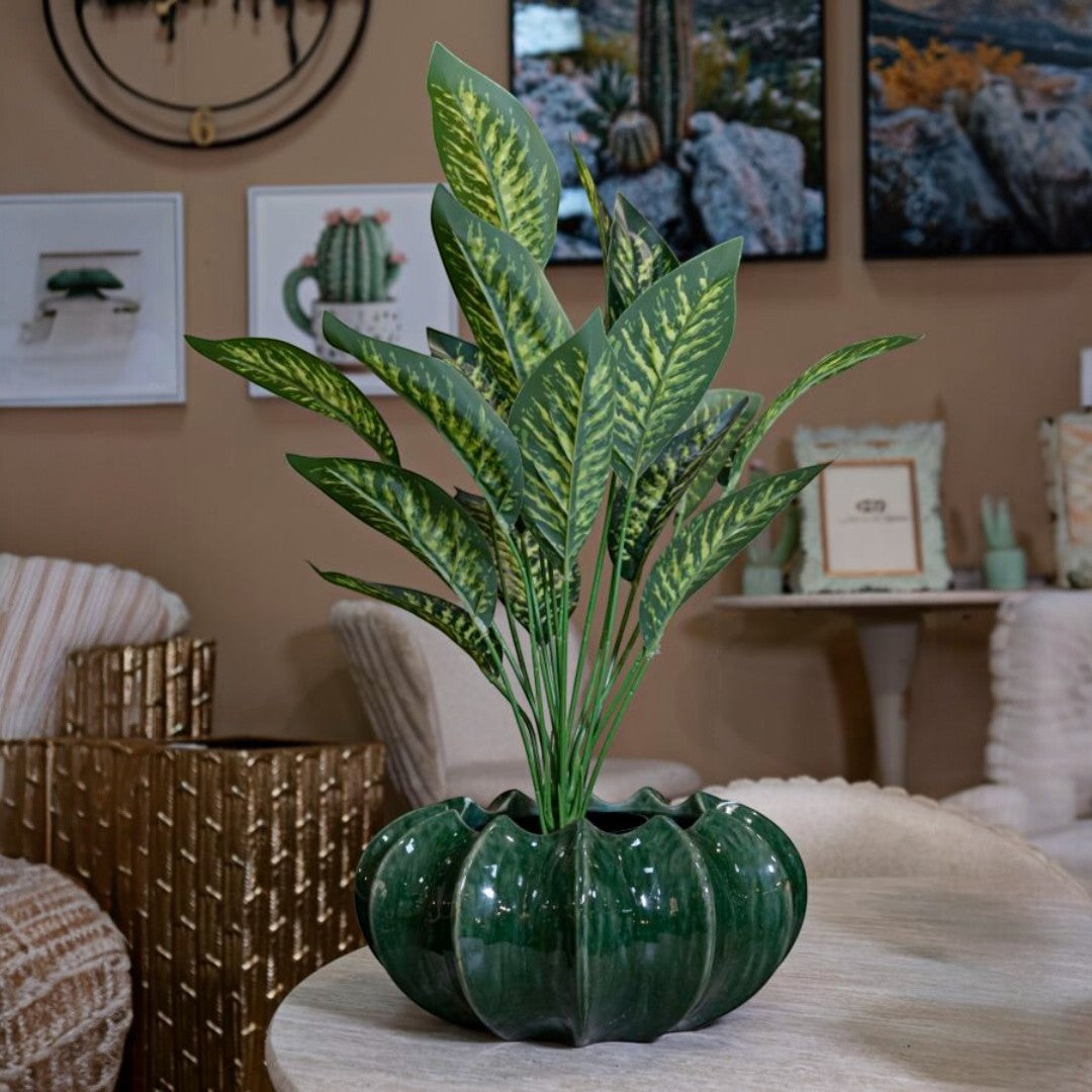 CACHEPOT CACTUS CM Ø 31X16 - FERRETTI