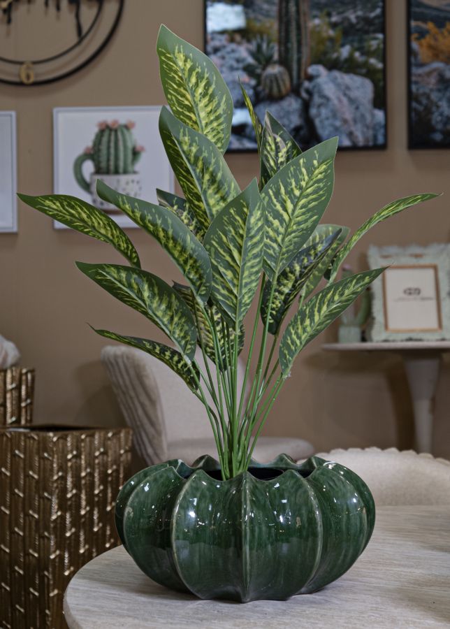 CACHEPOT CACTUS CM Ø 31X16 - FERRETTI