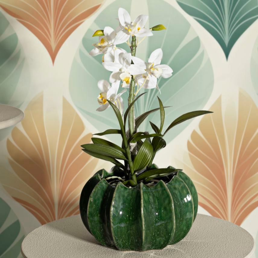 CACHEPOT CACTUS CM Ø 22X13,5 - FERRETTI