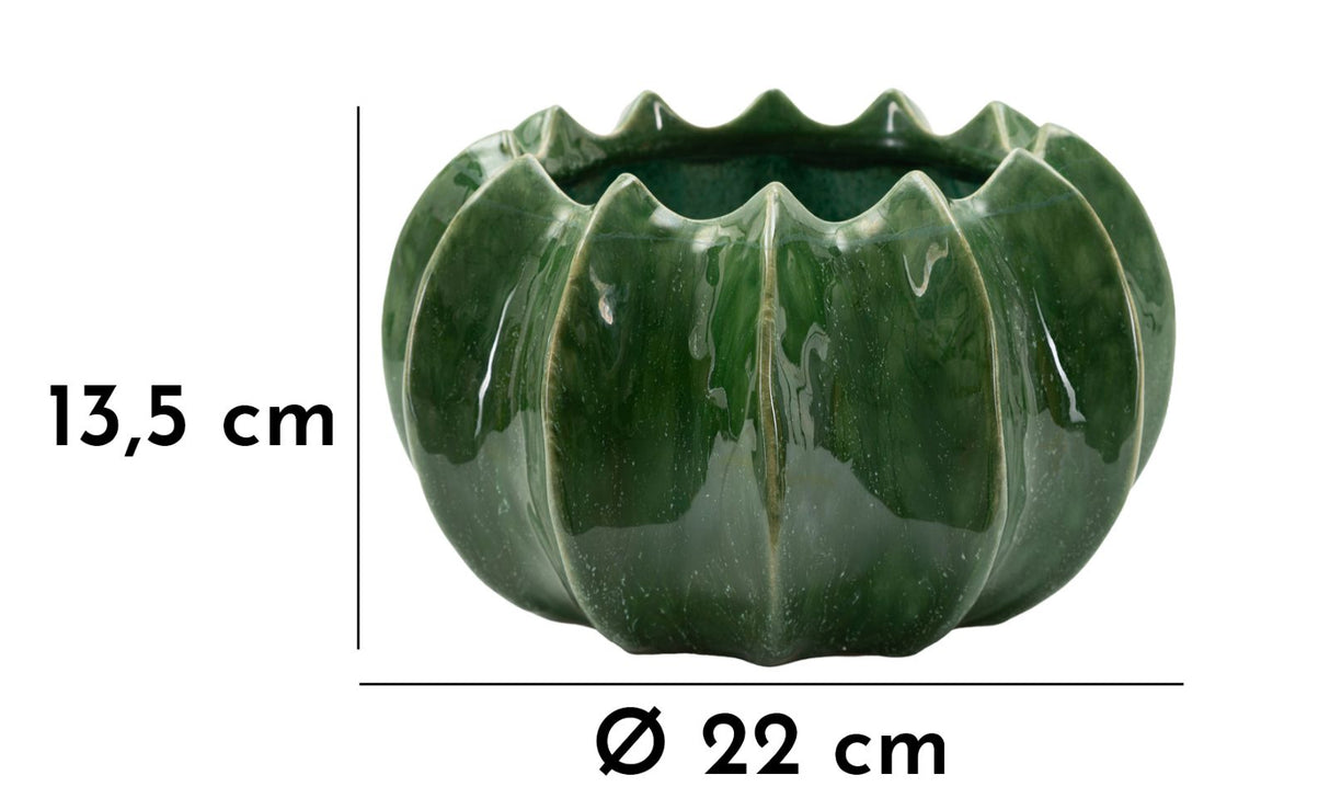 CACHEPOT CACTUS CM Ø 22X13,5 - FERRETTI
