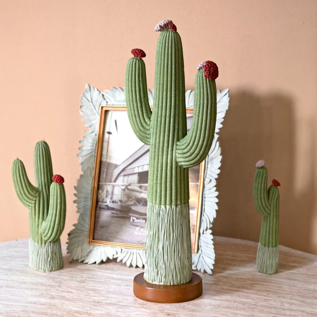 CACTUS CM 16,5X11X45 - FERRETTI