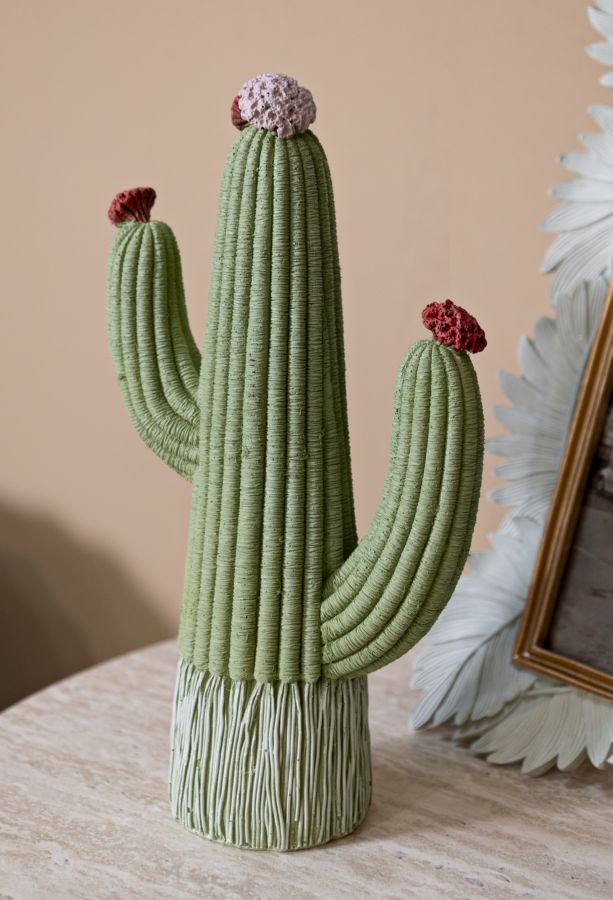 CACTUS CM 13X7X25 - FERRETTI