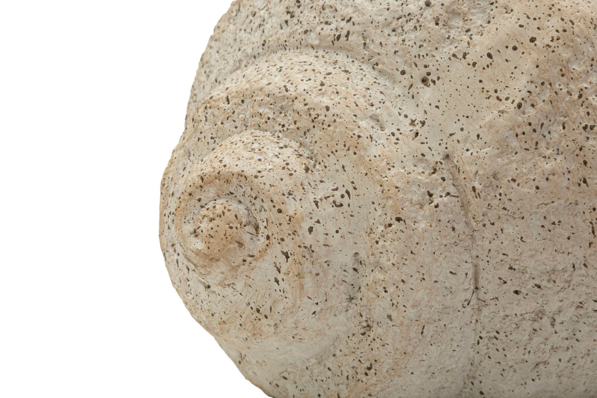 VASO SHELL SAND -B- CM 35X23X18 - FERRETTI