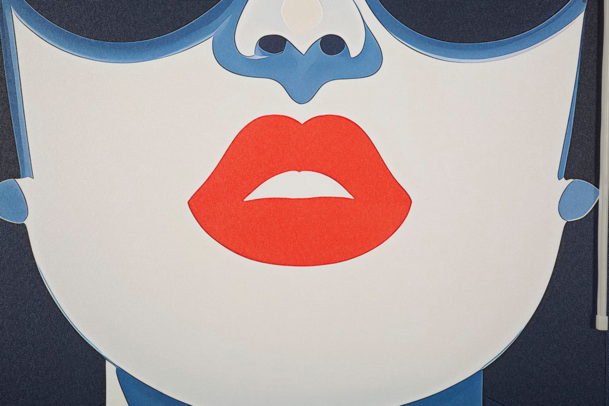 STAMPA C/LED SU TELA CECILLE - FERRETTI