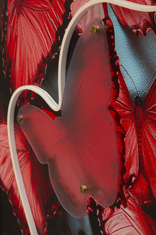STAMPA C/LED SU TELA BUTTERFLIES (APPLICAZIONE 3D ACRILICO) - FERRETTI
