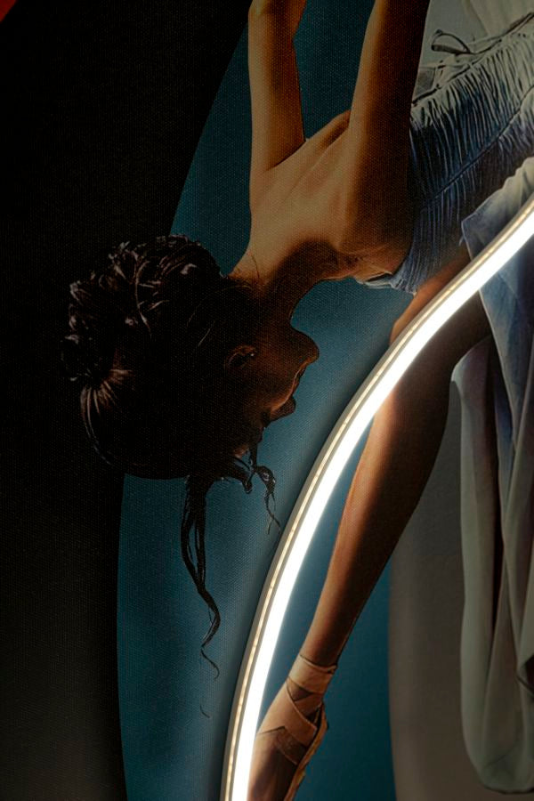 STAMPA C/LED SU TELA DANCER (APPLICAZIONE 3D ACRILICO) - FERRETTI