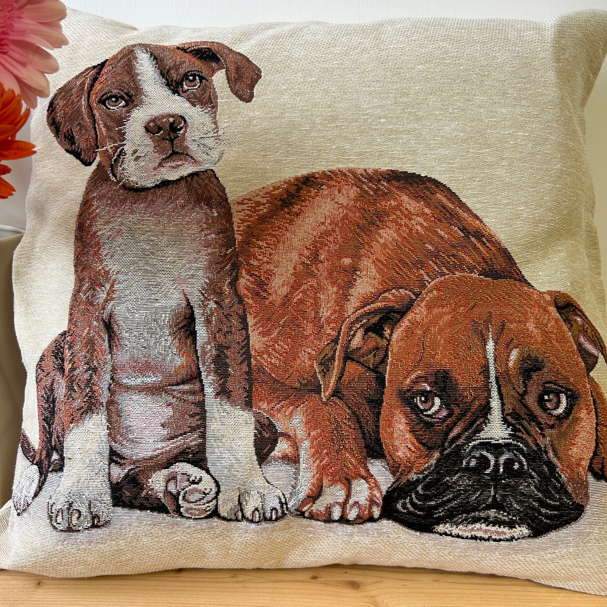 Cuscino BOXER by Mondo Biancheria