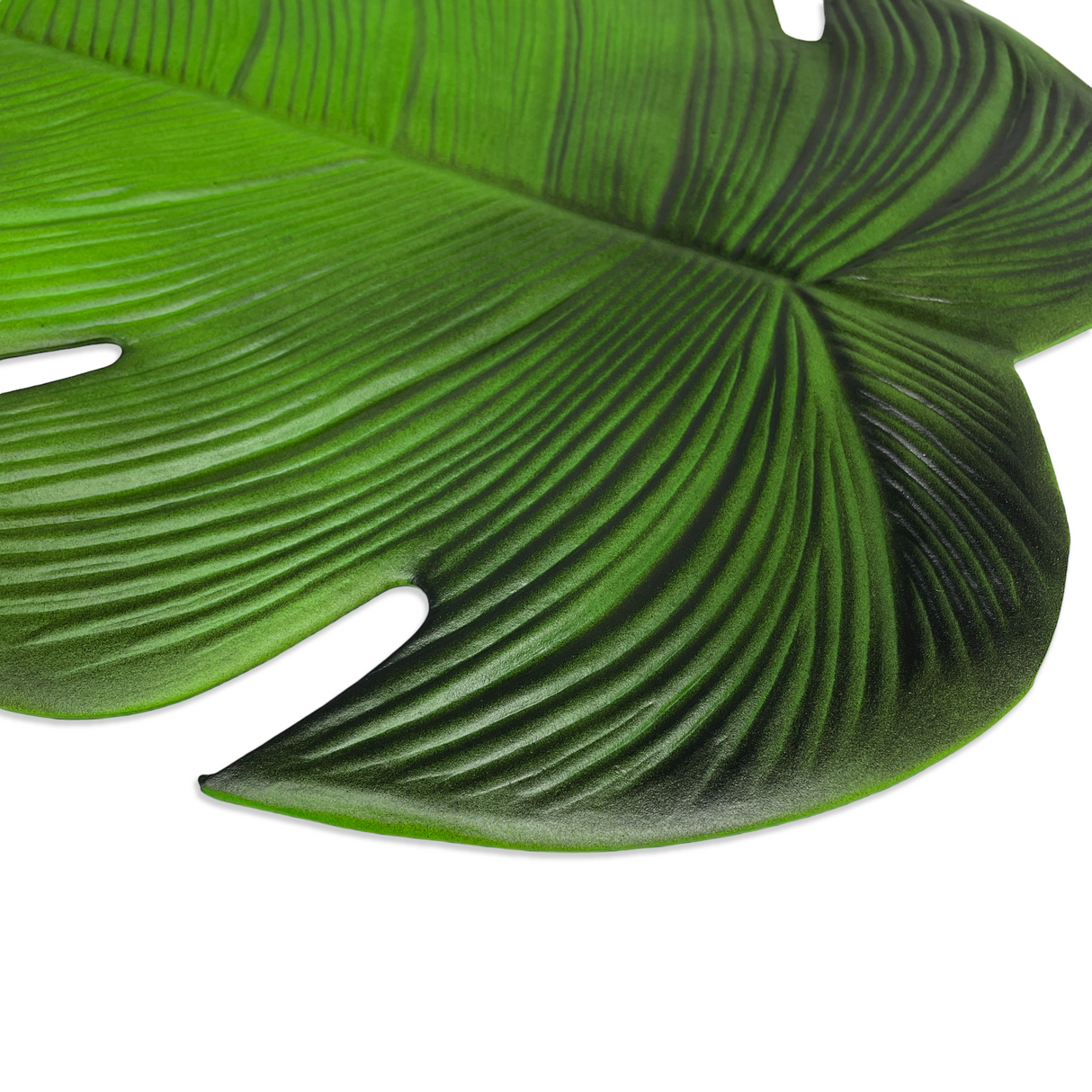 Tovaglietta TROPICAL By Excelsa