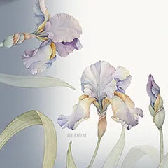 Tovaglia LILY - Randi