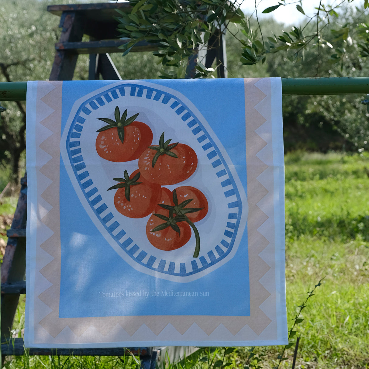 Strofinaccio pomodoro Petracchi 50x70 cm in Cotone Made in Italy Asciughino Cucina