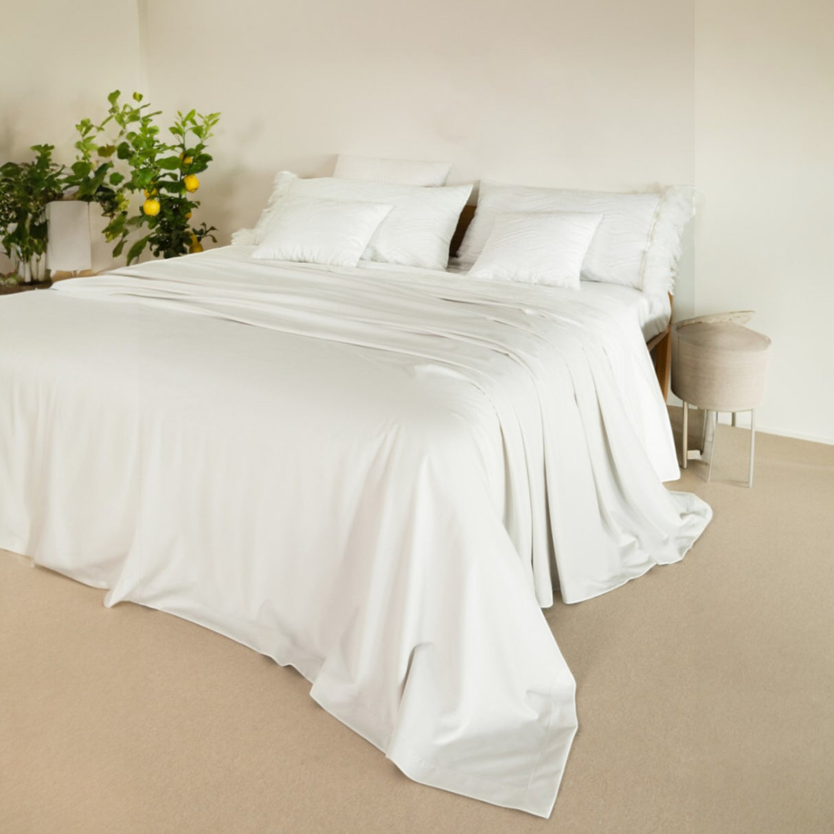 Copriletto Luiss - Battaglia