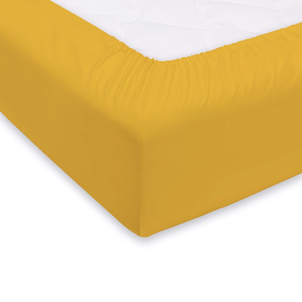 Lenzuolo con Angoli Singolo in Cotone – Maestri Cotonieri