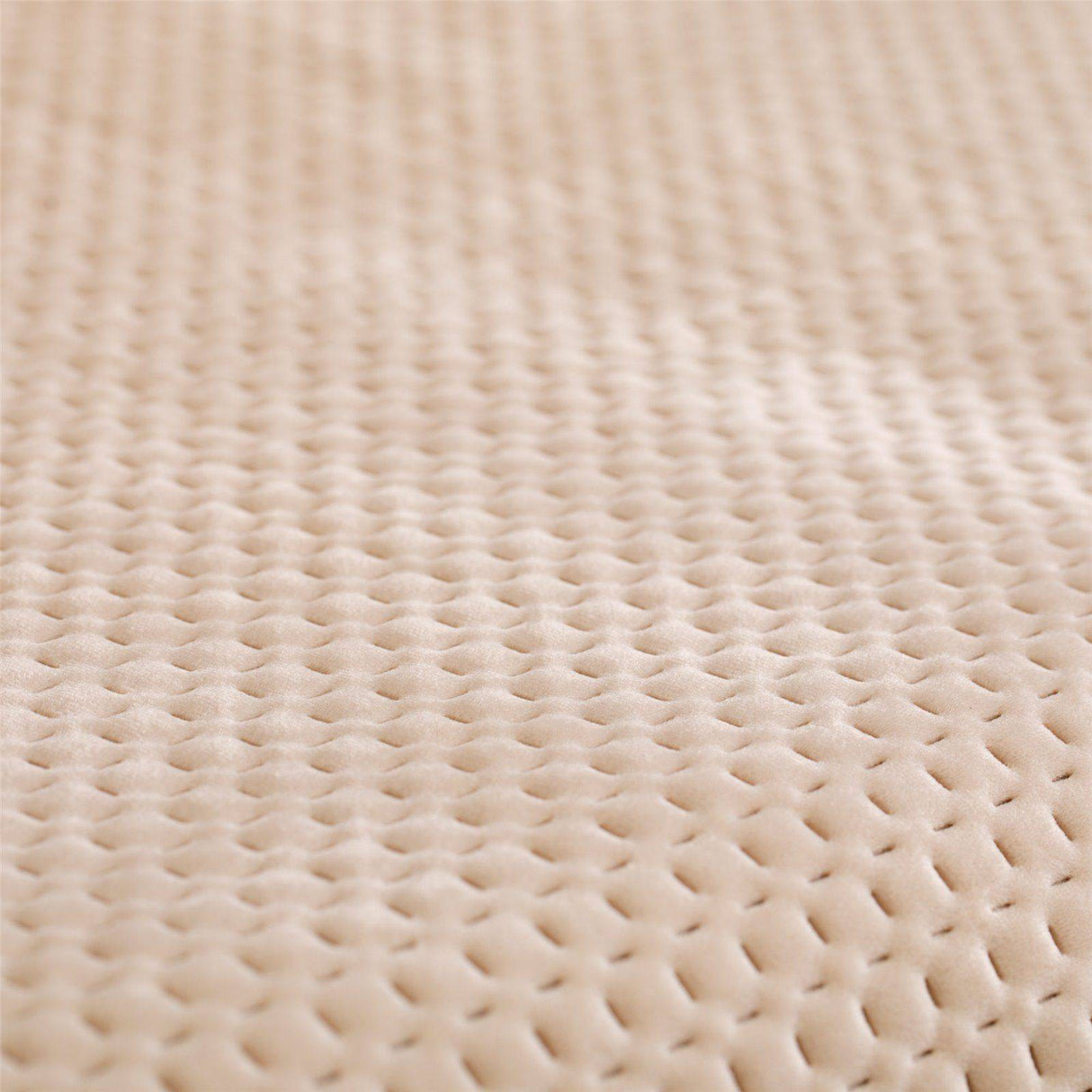 Salvadivano In Velluto Cloud By Linea Oro