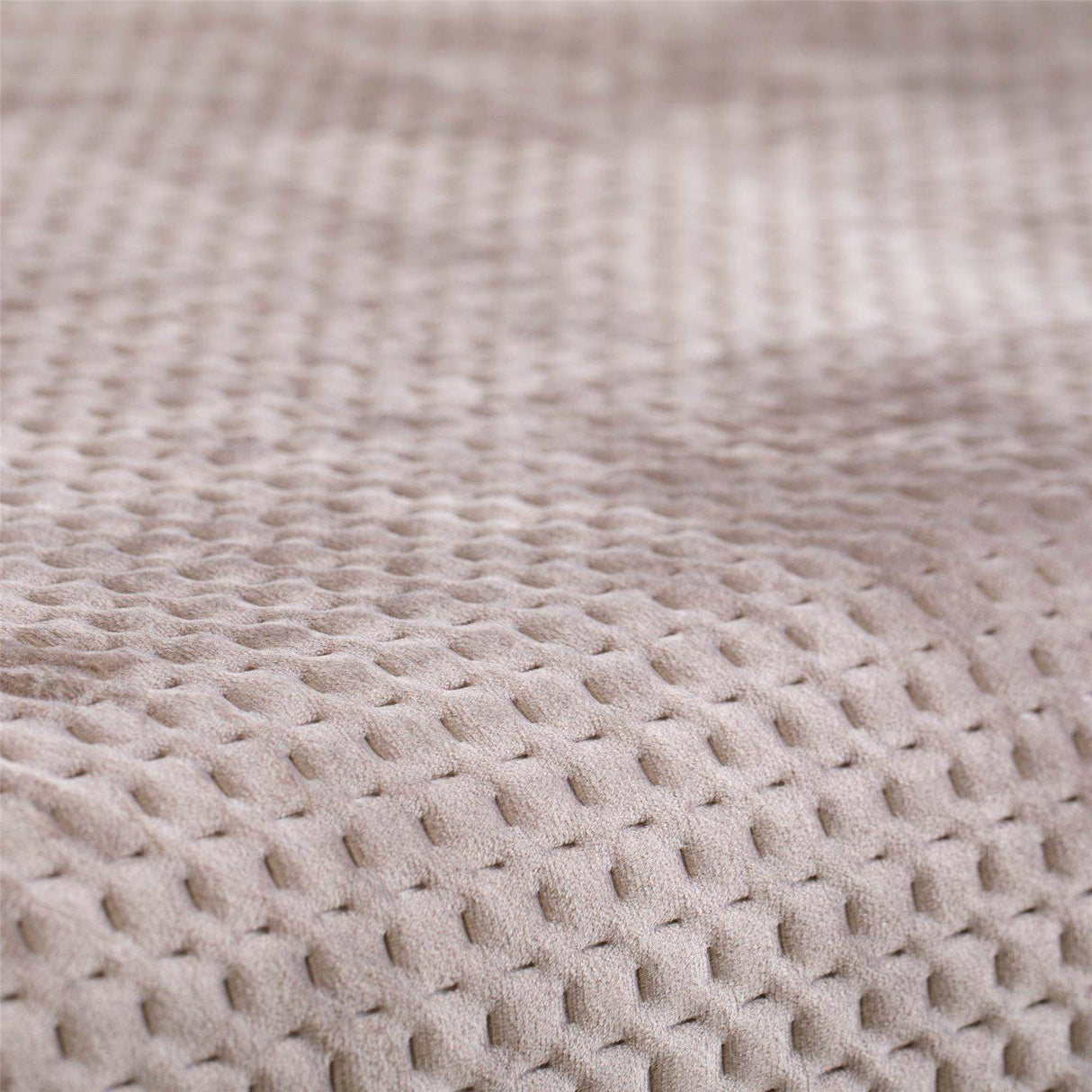 Salvadivano In Velluto Cloud By Linea Oro