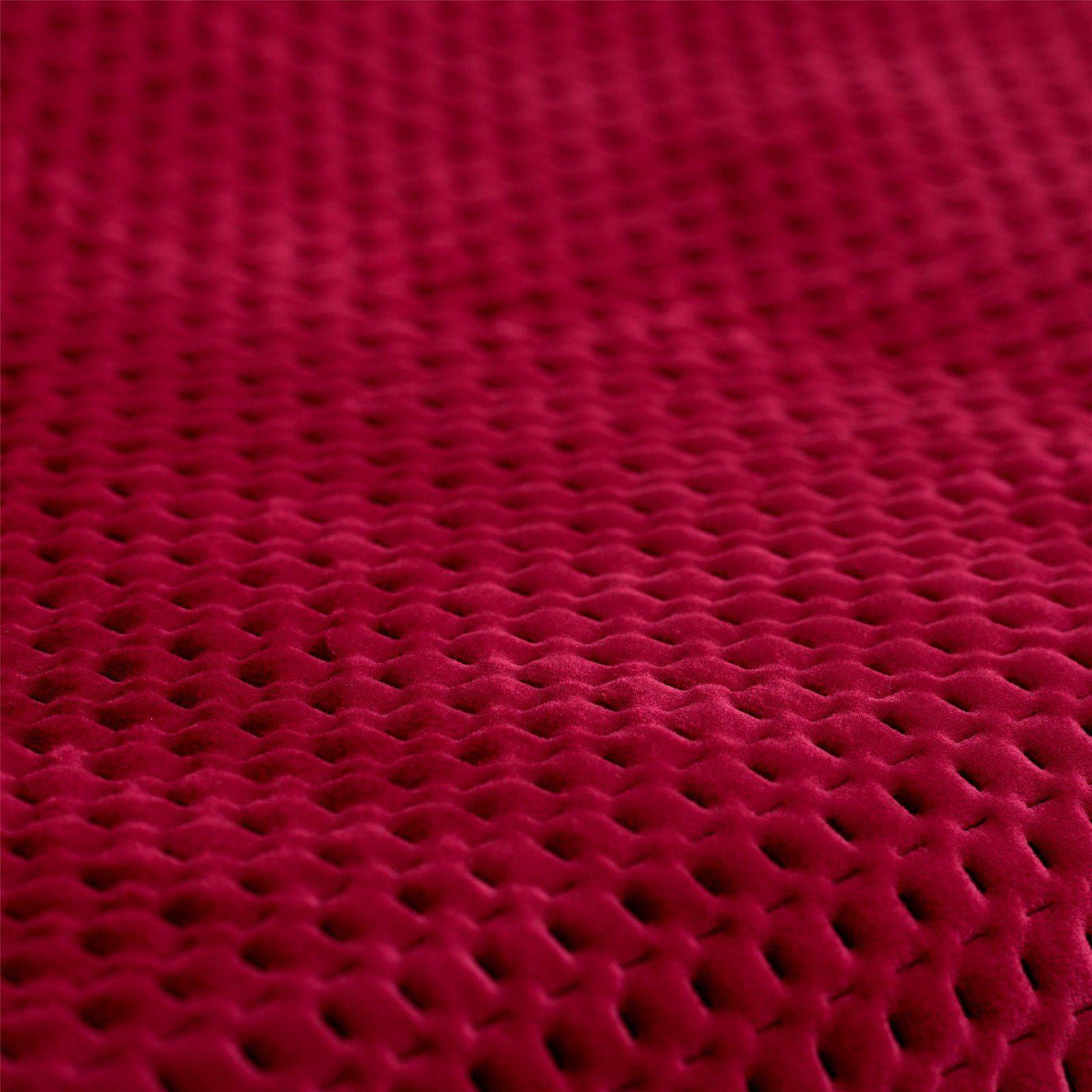 Salvadivano In Velluto Cloud By Linea Oro