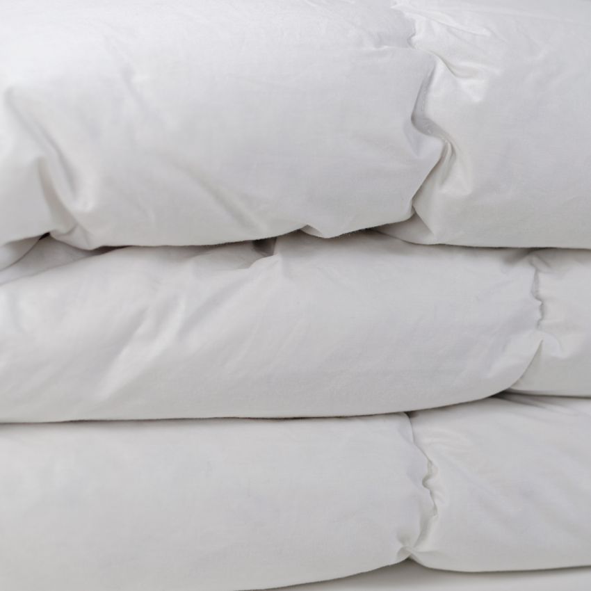 Piumino Alaska 100% Piuma D'Oca By Maestri Cotonieri