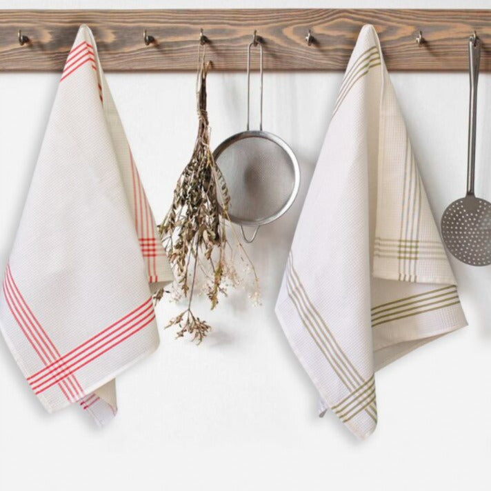 Set 6 Strofinacci APINA By Maestri Cotonieri